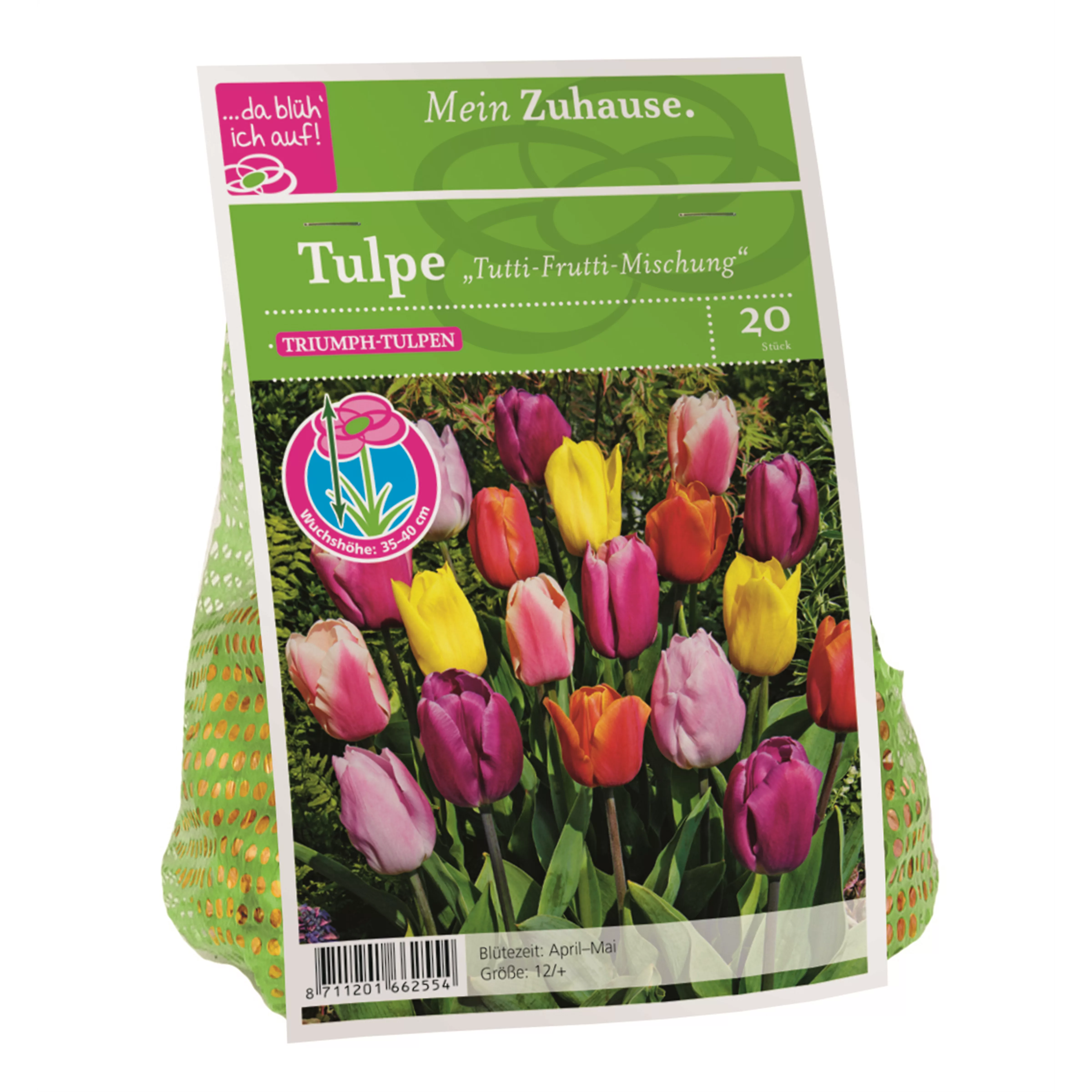 Blumenzwiebel Tulpe Tutti Frutti Mischung