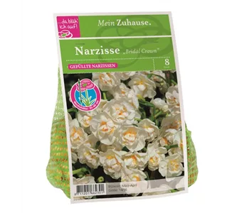 Blumenzwiebel Narzisse 'Bridal Crown'