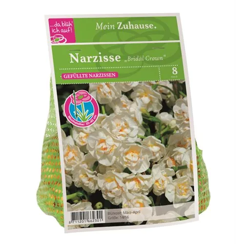 Blumenzwiebel Narzisse 'Bridal Crown'