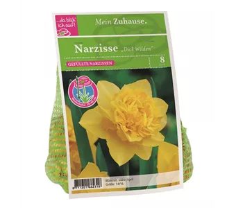 Blumenzwiebel Narzisse 'Dick Wilden'